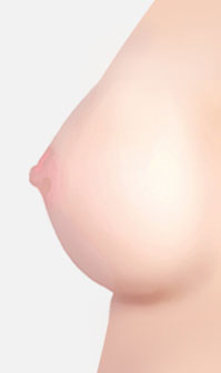 유두의 크기뿐만 아니라 모양까지 완성