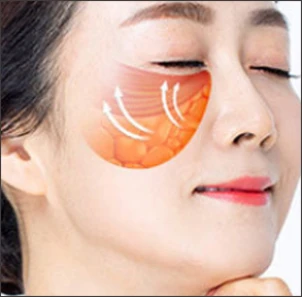 전체적인 조직을 원래 자리로