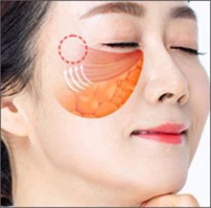 조직과 지방의 위치 교정
