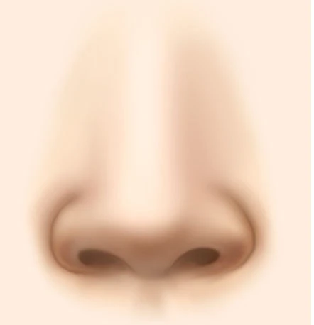 넓은코