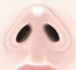넓은코