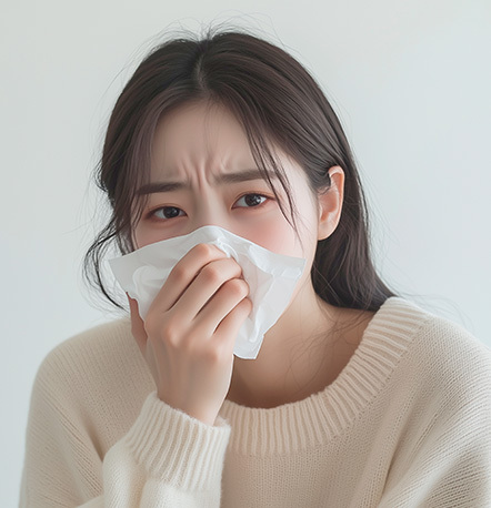 비염, 축농증