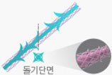 테스리프트