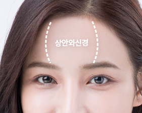 상안와신경을 보존하여 절개부를 사선으로 절개
