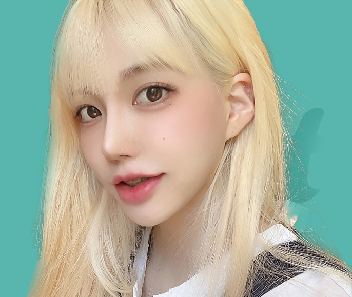 11월 이벤트