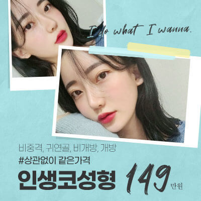 인생코성형_더블유
